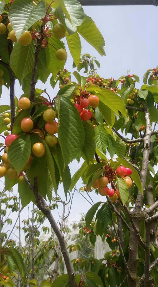 blog-image
